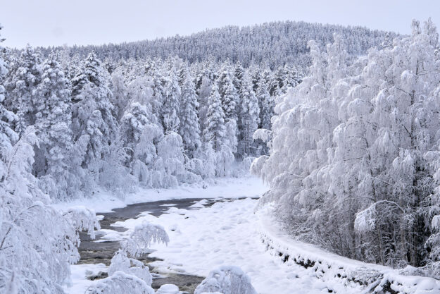 ArcticHeaven-day2-wilderness