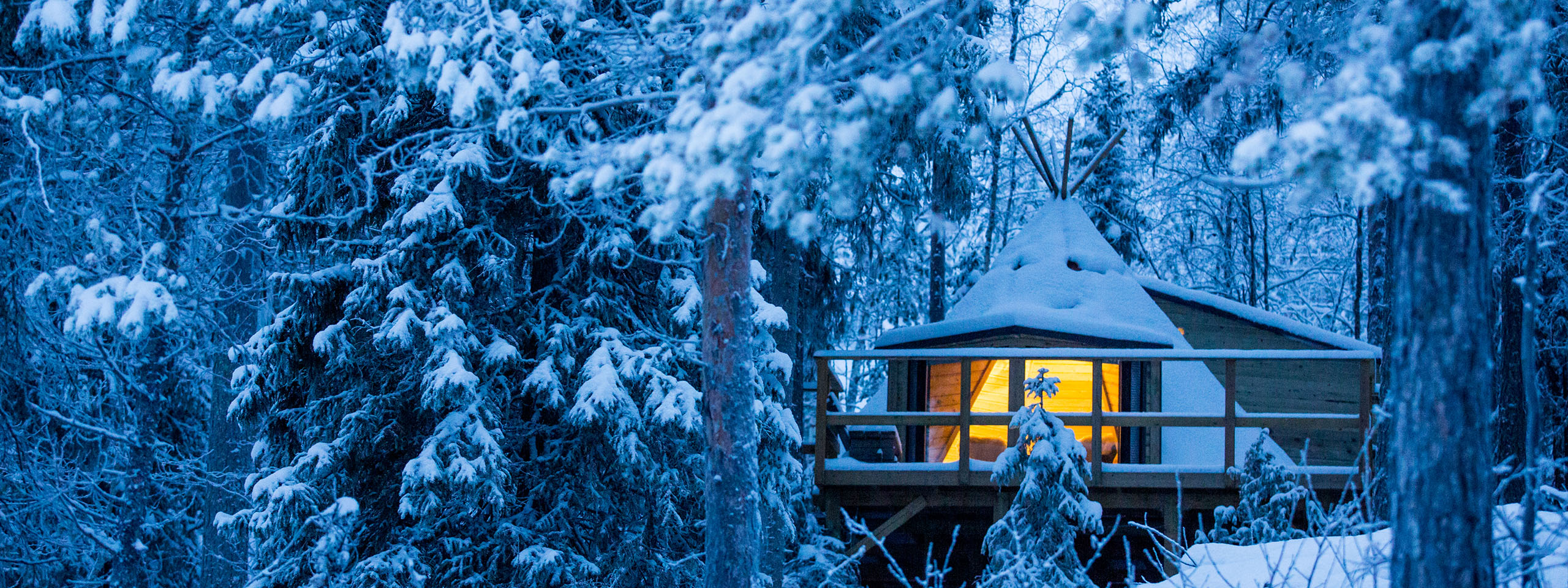 AuroraSafariCamp-header