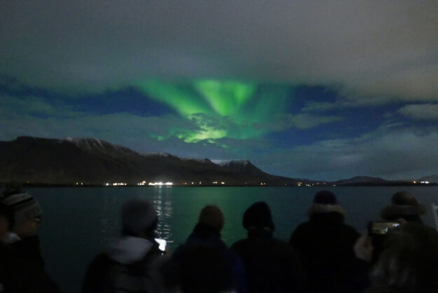 Day ONE - Northern Lights Cruise - Special Tours