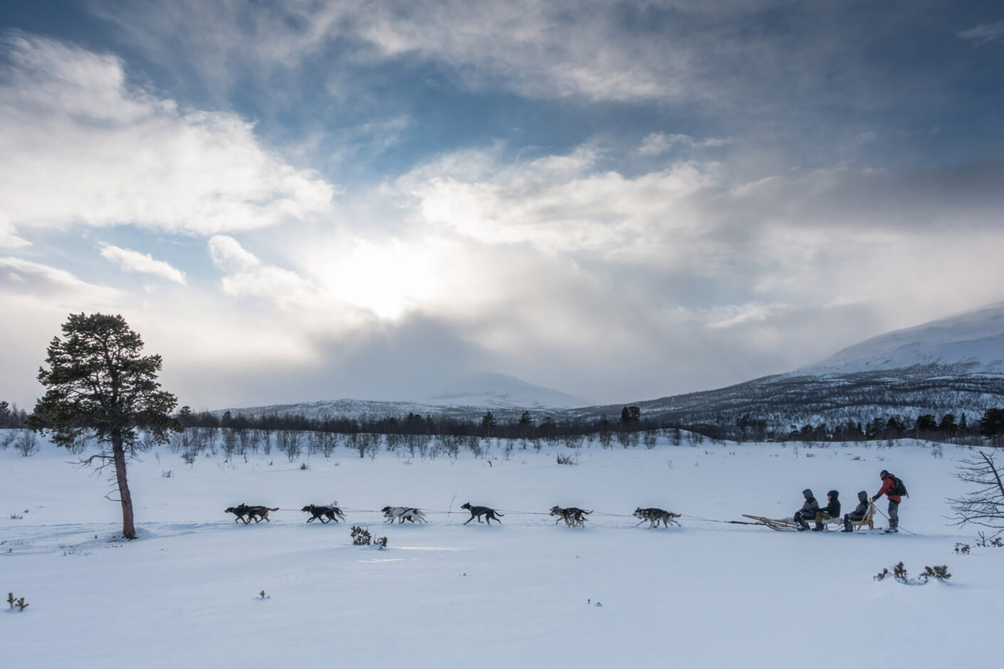 Day TWO - Dog Sledding excursion to Kiruna Credit Lights Over Lapland