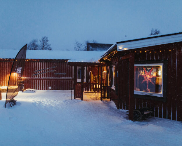 The Tree Hotel and Northern Lights Quest | Northern Lights Holiday Experts | Stay at the Famous Tree Hotel and then visit the Icehotel and Abisko | Aurora Nights
