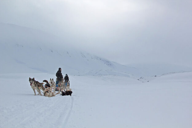 The Aurora Nights Svalbard Adventure | Northern Lights Holiday Experts | Aurora Nights | 4-Night Holiday staying one night in Olso before heading to Svalbard.