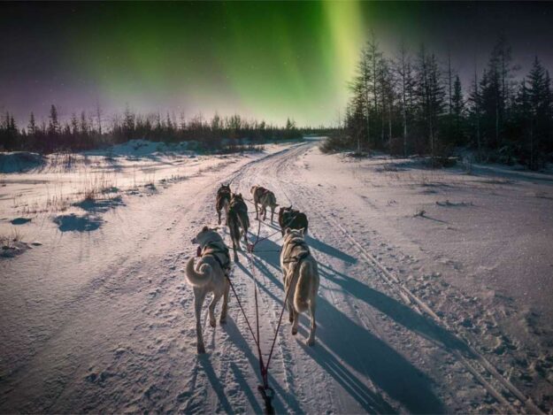 Northern-Lights-Husky-Experience-in-Swedish-Lapland-1000x750_c