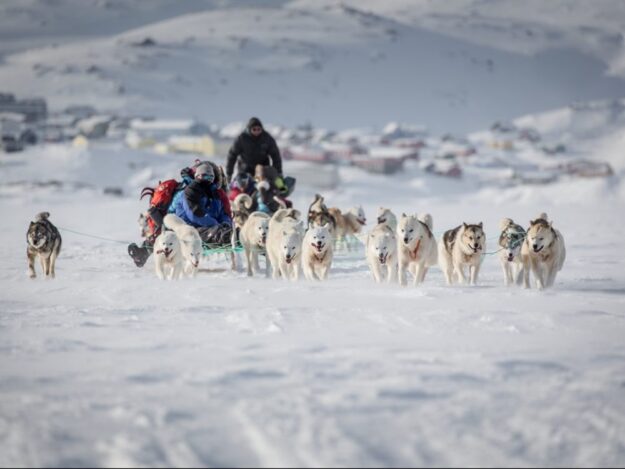 WALC-171022-1609-TTD-DS-11-A-dog-sled-on-sea-ice-near-Tasiilaq-East-Greenland-1000x750_c