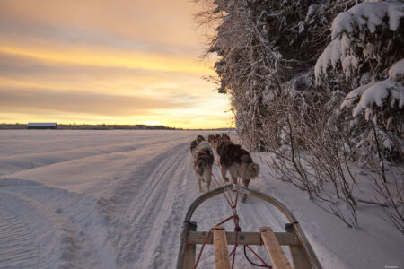 Brandon Lodge Swedish Lapland Escape | Northern Lights Holiday Experts | Aurora Nights | Visit Swedish Lapand