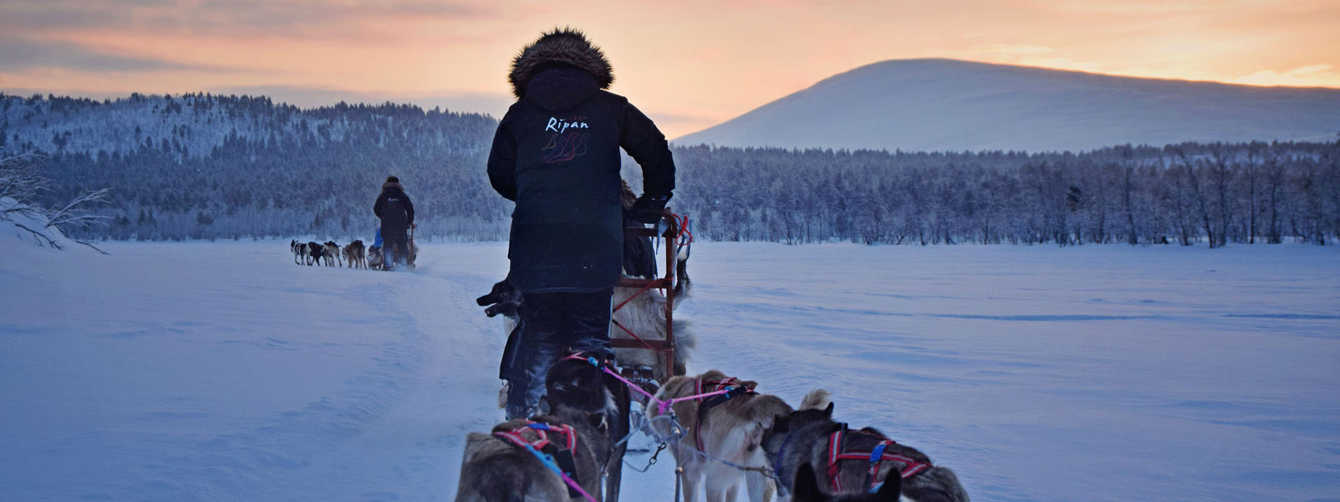 Camp Ripan's Aurora Break | Northern Lights Holiday Experts | Aurora Nights | Winter Holidays in Sweden | Spa Breaks in Sweden