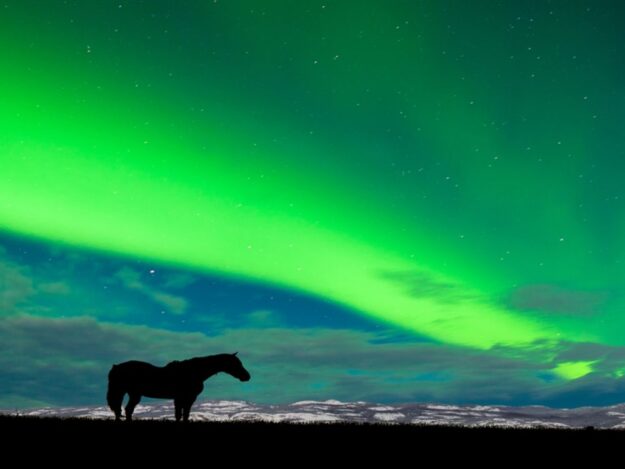 iceland-northern-lights-super-jeep-hunt-horse-1000x750_c