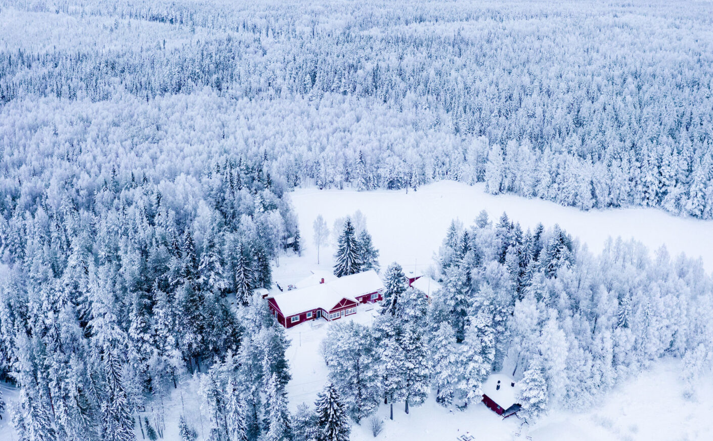 Pine Bay Aurora Escape | 3-Night Winter Holiday Adventure in Sweden Snowmobiling and Dog Sledding | Northern Lights Holiday Experts | Aurora Nights