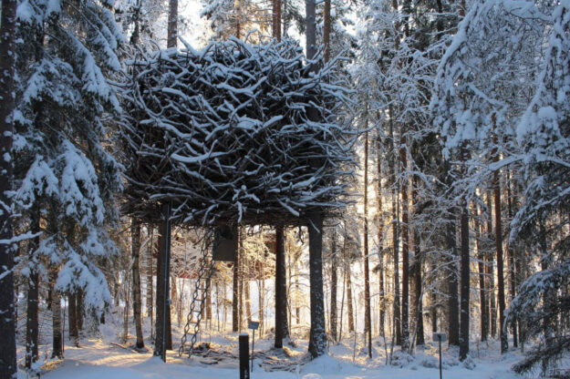 Treehotel in Sweden Birds Nest
