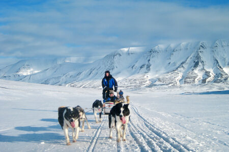 Dog Sledding Adventures in a Winter Wonderland