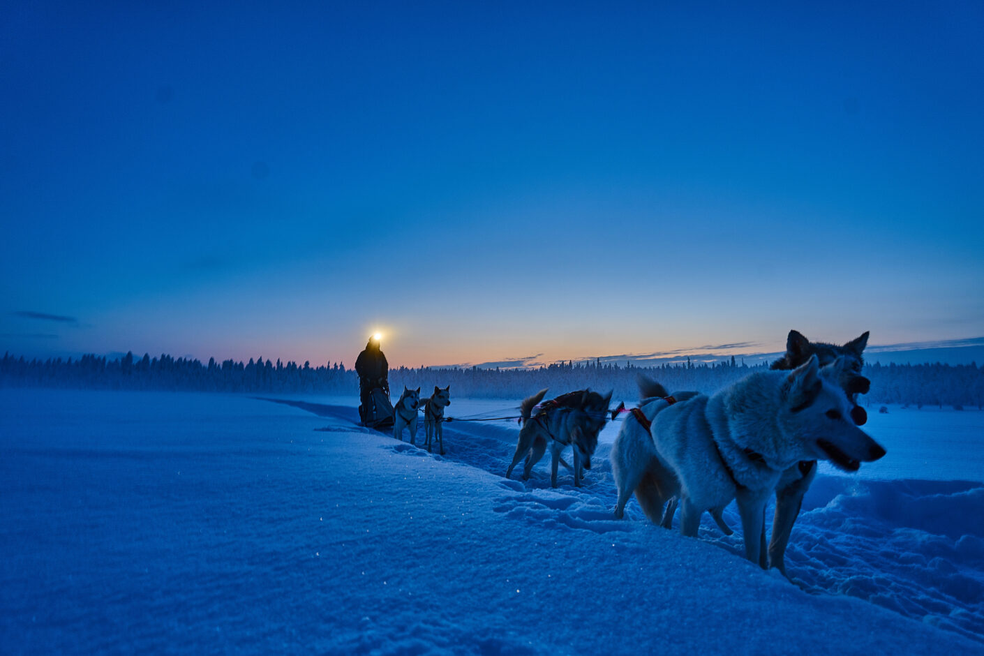 Ultimate Arctic Tour | Norway, Sweden and Finland | Snowmobiles Dog Sledding and The Ice Hotel