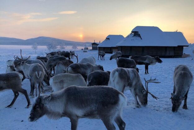 Ultimate Arctic Tour | Norway, Sweden and Finland | Snowmobiles Dog Sledding and The Ice Hotel