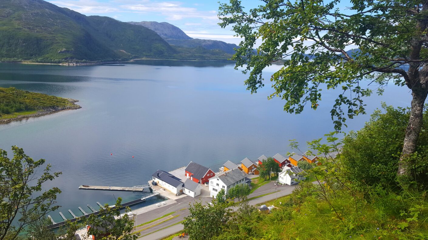 Narvik Summer | Aurora Nights