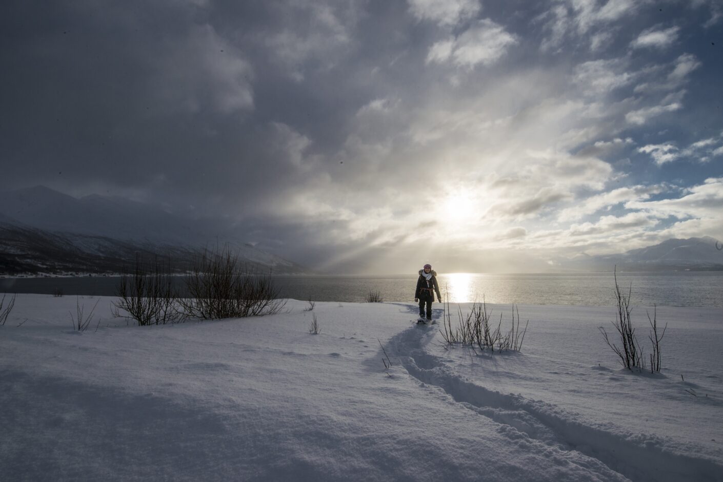 Lyngen Experience Apartments
