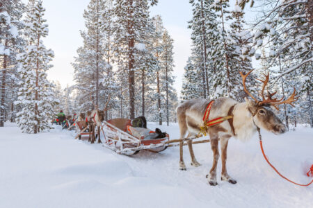 Jänkä Resort | Magical Winter Escape at Jänkä Resort in Lapland | Luxury Holidays in Lapland | Travel with Aurora Nights