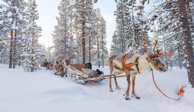 Jänkä Resort | Magical Winter Escape at Jänkä Resort in Lapland | Luxury Holidays in Lapland | Travel with Aurora Nights