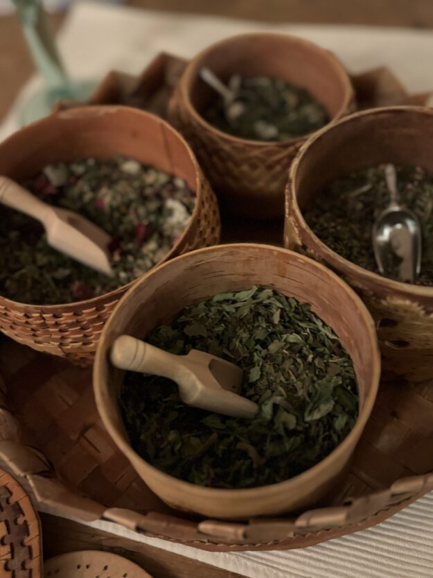 Eva Gunnare | herb Workshop | Swedish Lapland | Aurora Nights