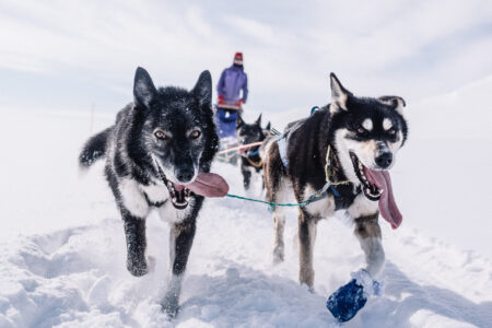 Trasti & Trine Boutique Hotel Alta Norway | Aurora Nights