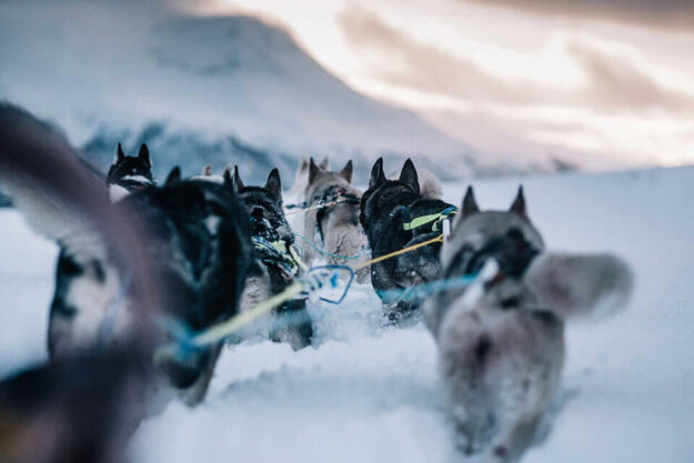 Trasti & Trine Boutique Hotel Alta Norway | Aurora Nights