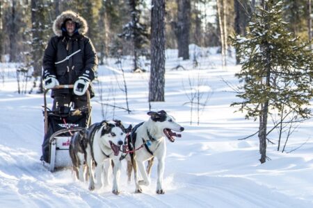 Exclusive Use Arctic Lodge Getaway | Northern Lights Holiday Experts | Travel with Aurora Nights