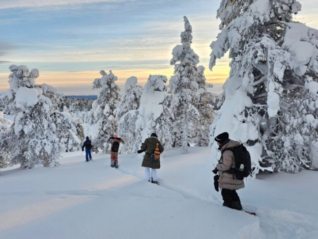 Arctic Retreat Sweden