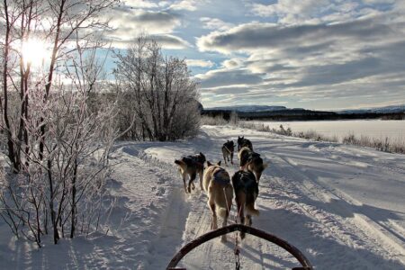 Holmen Husky Lodge