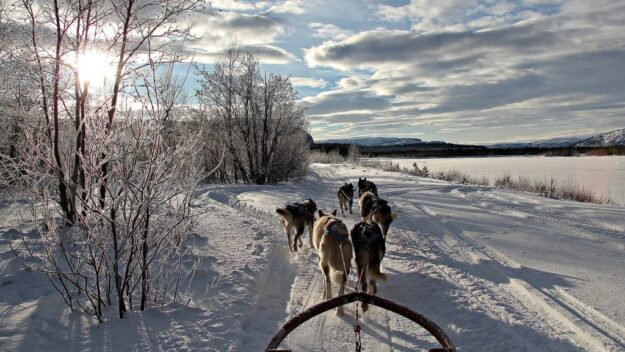 Holmen Husky Lodge