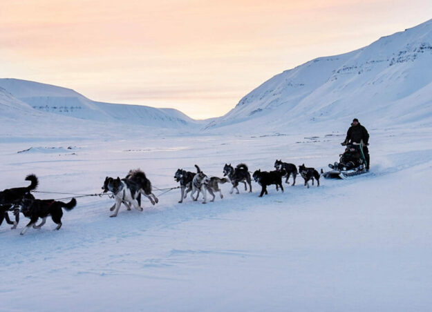 Dog Sledding in Svalbard