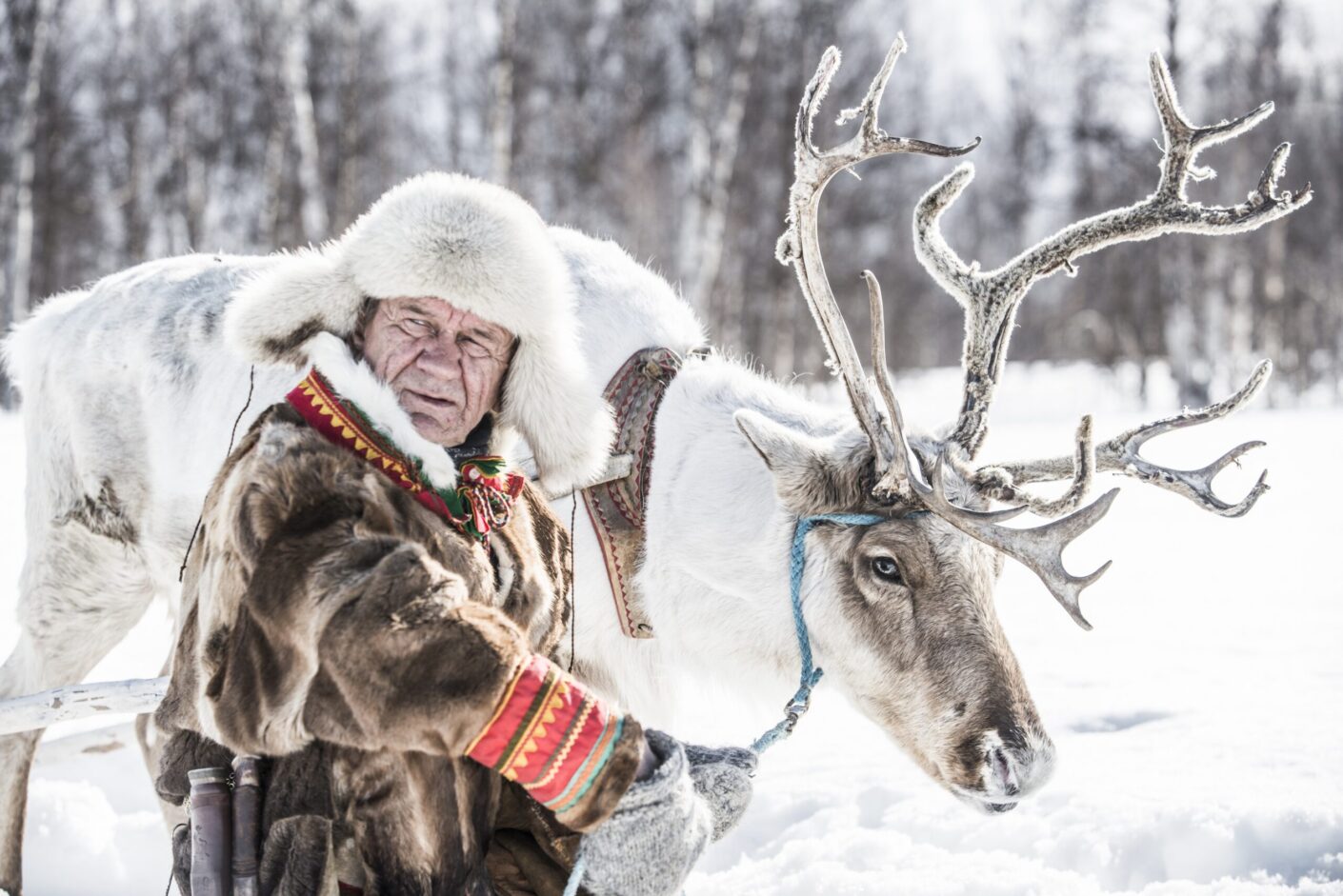 Sami Experience Reindeer