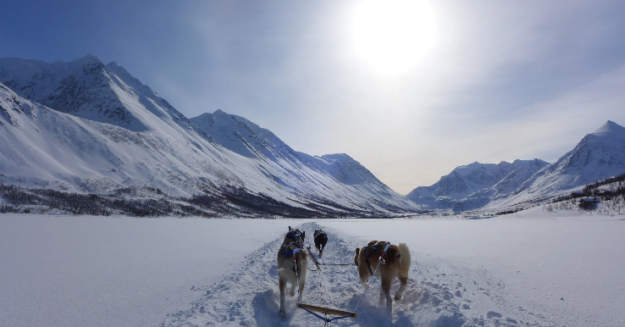 Lyngen Experience
