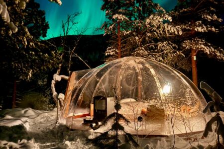 Onga Boutique Lodges and Aurora Domes