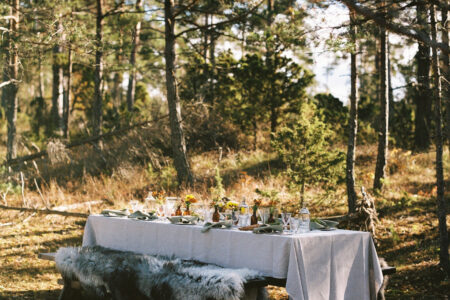 Sibbjäns, Gotland