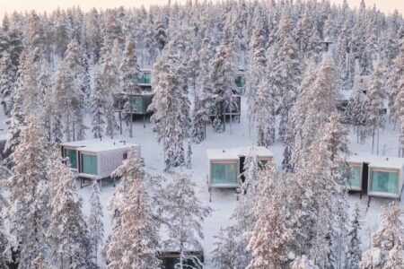 Arctic Treehouse